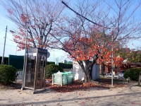 東山南ちびっこ広場