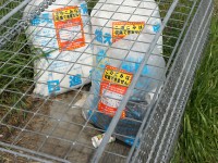 このごみはダメ！