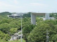 名古屋商科大学を眺める