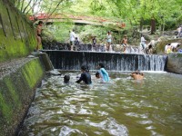 暑い日には水に入る