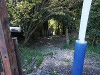 御岳山の登山道