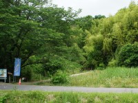 折り戸川のホタル