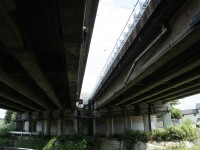 高速道路の真ん中