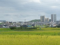米野木駅を眺める