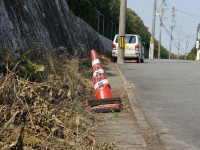 中西学園のコーン
