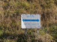 愛知牧場の北側3