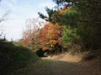 愛知牧場の北側2