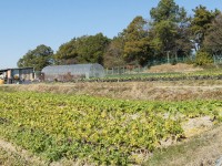 和合ゴルフ場の南側