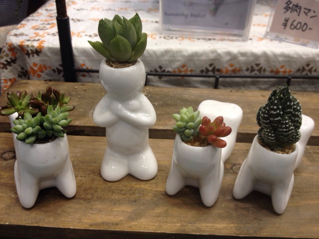 はみんぐバスケット　多肉マン