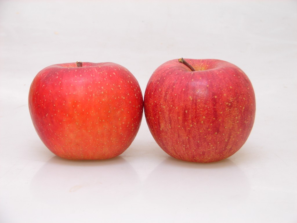 長野　減農薬・化学肥料不使用　こだわりりんご