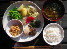 メダカの学校　食事例