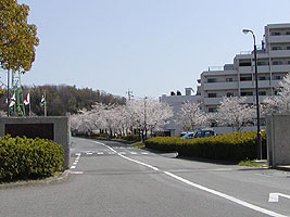 トヨタ研究所