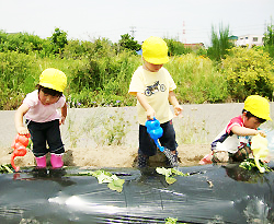 たんぽぽ保育園