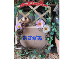 ペットシッターあさがお