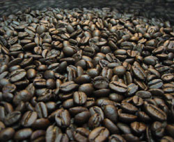 自家焙煎珈琲　豆楽