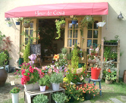 Fleur de Cova フルール・ドゥ・コバ