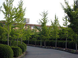 愛知県立/日進高校