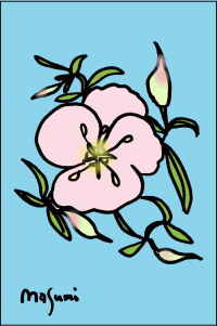 09_06_23e3838ae38381e383a5e383a9e383abe38195e38293e794bb-14