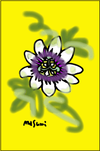 09_07_23e3838ae38381e383a5e383a9e383abe38195e38293e794bb-16