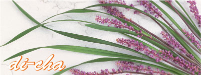 精油の力　ラベンダー