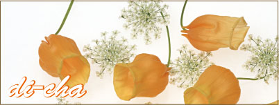 レインドロップ　梅雨の時期にリフレッシュ