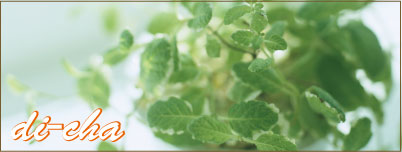 心と体と美 断捨離のすすめ 心と体と美 断捨離のすすめ